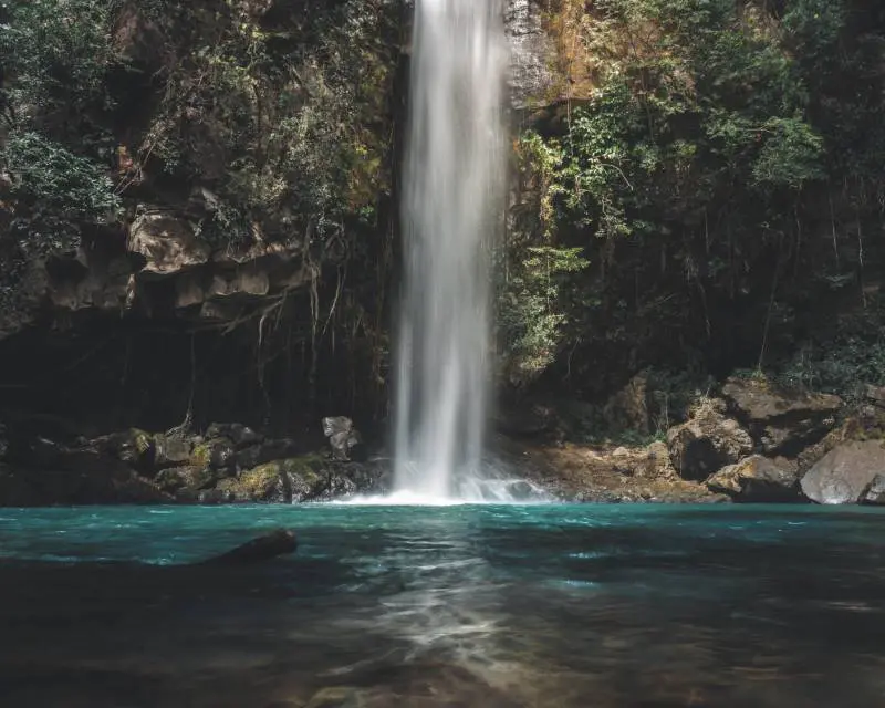 A waterfall in the middle of a forest.